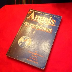 Angels on Assignment Book